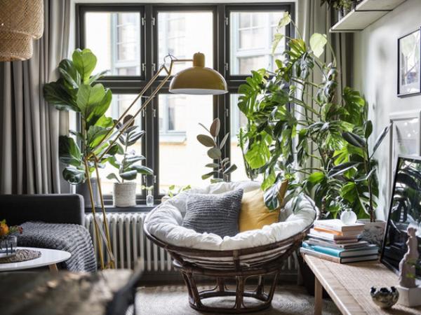 Căn hộ 57m² đẹp, sạch và xanh